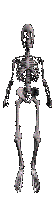 skeleton jumping