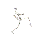 sneky skeleton walking